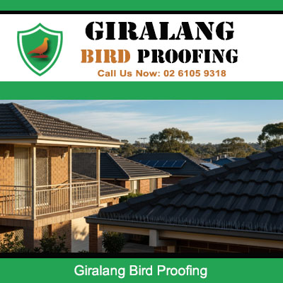 Professional bird proofing installation on residential rooftops in Giralang Canberra